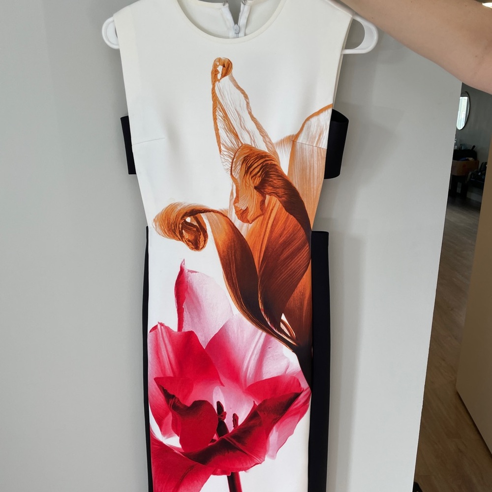 Clover Canyon floral bodycon cutout dress